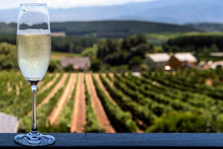 Vous visiterez un domaine viticole du Penedés