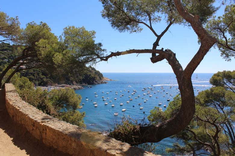 Vue sur le Camí de Ronda