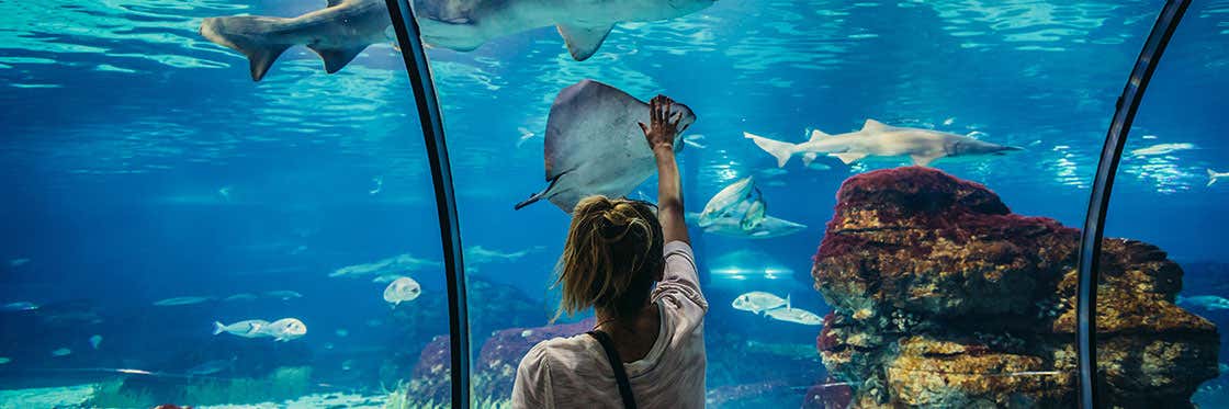 Aquarium de Barcelone